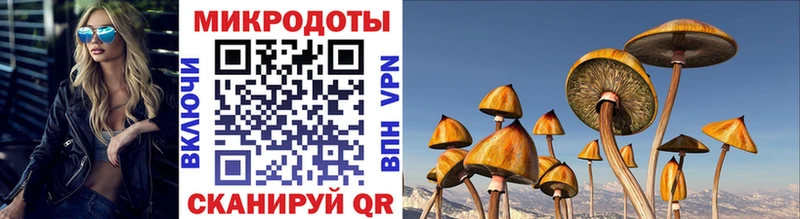 Галлюциногенные грибы Magic Shrooms наркошоп KRAKEN ссылка Белоярский